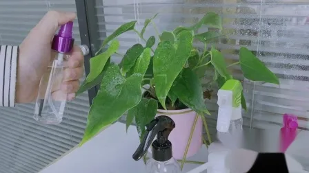 Pulvérisateur à brume Fine, bouteille en plastique, pompe de parfum, tête de pulvérisation, produits en plastique, emballage cosmétique, printemps extérieur